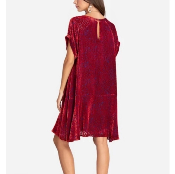 Johnny Was Jade Red Burnout Velvet Mini Dress Size XS Animal Print Silk Blend - Picture 2 of 16
